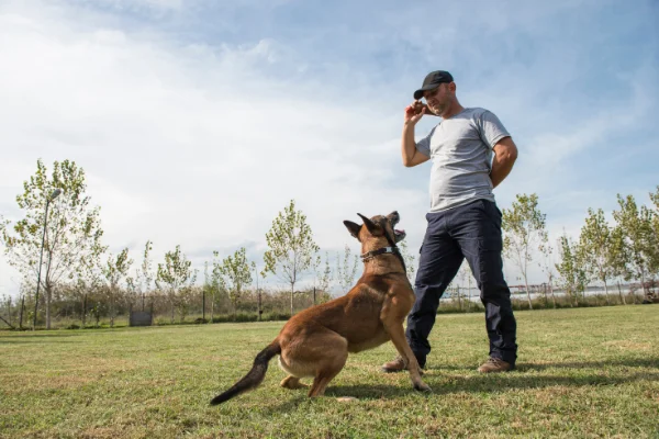 Istruzione canina in sicurezza e protezione civile